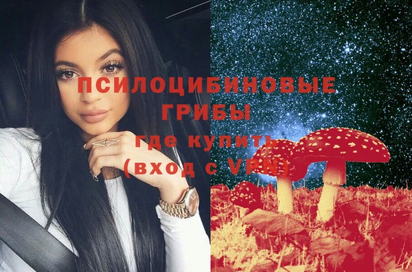 ГАЛЛЮЦИНОГЕННЫЕ ГРИБЫ Алексин