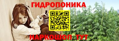 соль ск Гусев