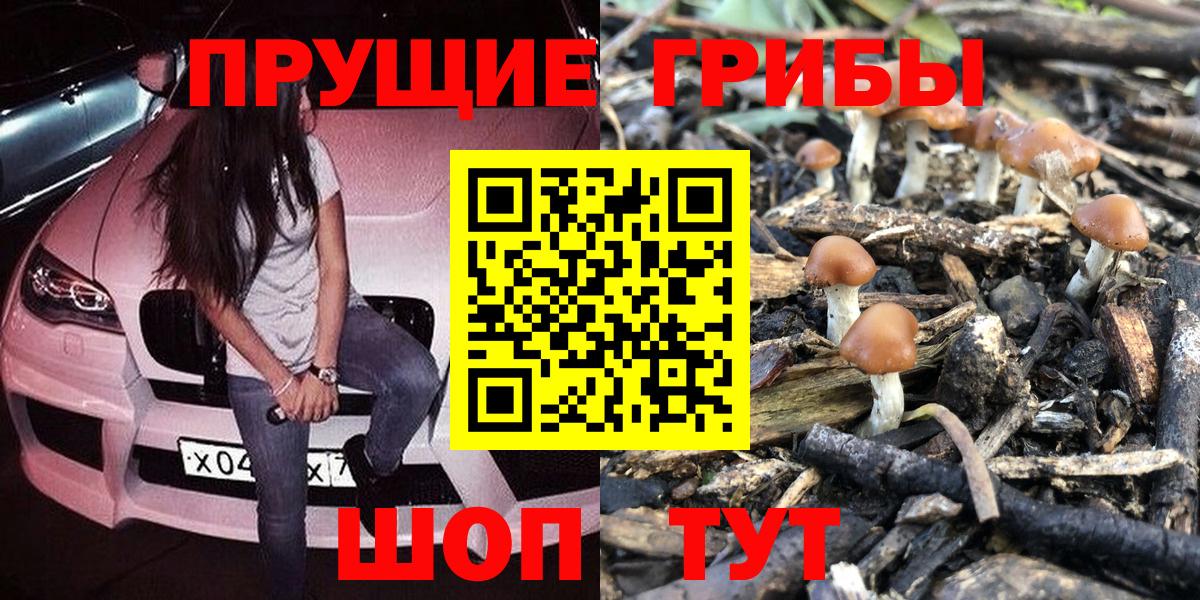 Галлюциногенные грибы мухоморы Осинники