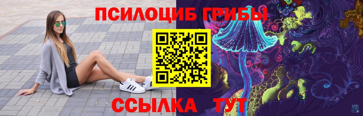 Галлюциногенные грибы мицелий  Галлюциногенные грибы Psilocybine cubensis  Осинники  Вход с VPN 